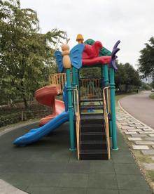 湿地公园2