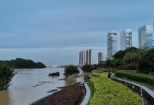 湿地公园8