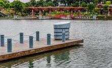 湿地公园1