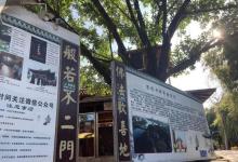 雁塔公园6