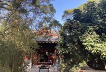 雁塔公园2