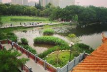 新河浦路2
