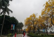 仙湖度假区10