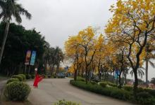 仙湖度假区12
