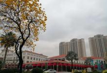 仙湖度假区13