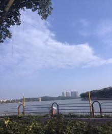 仙湖度假区23