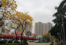 仙湖度假区16