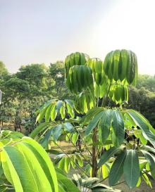 科学城体育公园13