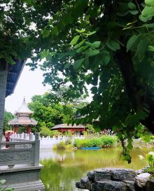 粤剧大观园3