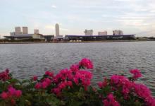临江带状公园10