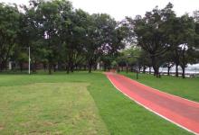 临江带状公园11