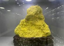 广州市南华珠宝矿物博物馆3