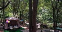 Z泉山生态园5