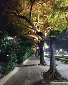 情侣路16