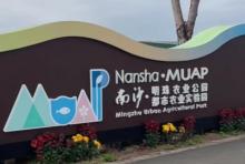 南沙明珠农业公园2