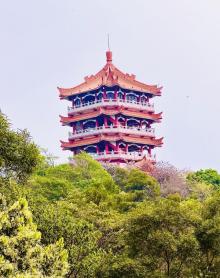 鸿鹄楼6