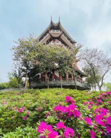 鸿鹄楼8