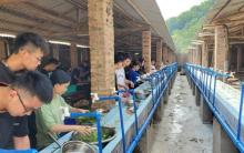 广州帽峰山生态园15