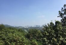 聚芳园4
