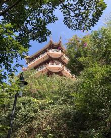 聚芳园11
