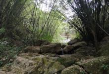 大雁山8