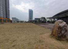 南沙客运港4