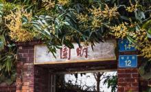 明园10