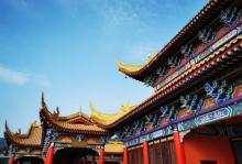 大岭山森林公园22