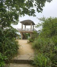 大岭山森林公园28