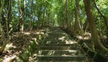 大岭山森林公园12