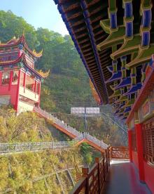 大岭山森林公园4