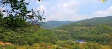 大岭山森林公园30