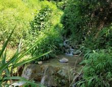 大岭山森林公园19