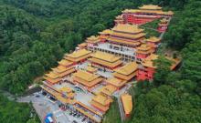 大岭山森林公园1