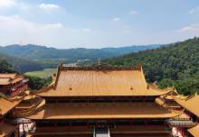 大岭山森林公园9