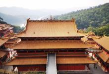 大岭山森林公园23