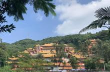 大岭山森林公园8