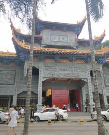 大岭山森林公园16