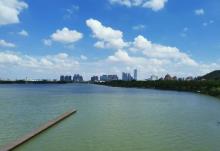 桂畔湖湿地公园6