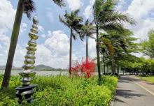 桂畔湖湿地公园7