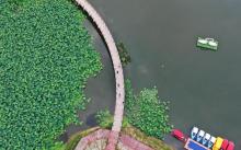映月湖公园1