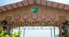 大埔围花海7