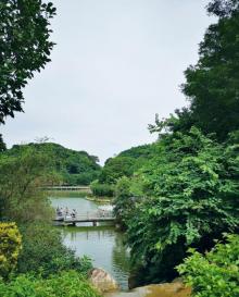 山顶景区-帽峰山森林公园7