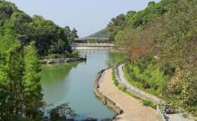 山顶景区-帽峰山森林公园1