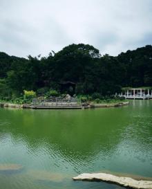山顶景区-帽峰山森林公园4