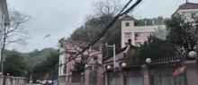 黄麻村2