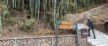 黄麻村1