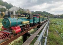 红山村小火车9