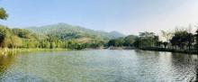 凤凰山公园2