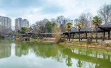 凤凰山公园1